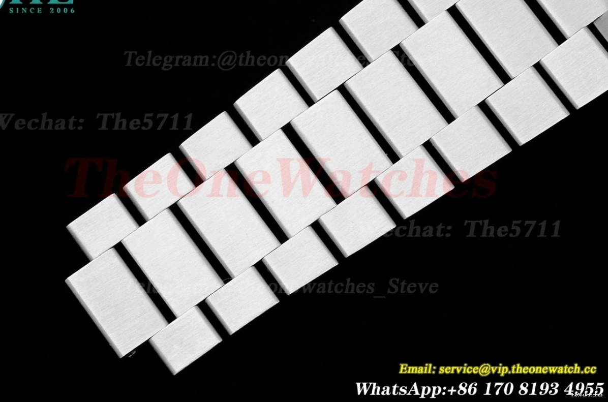 SS V4 (Gain VR3255 Dial Meteorite Weight) 228236 SS DayDate 40mm JDF 0206